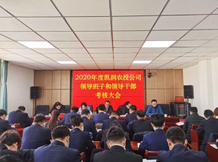 腾博会官网 召开2020年度领导班子和领导干部考核大会