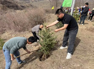 ���ڲ��������˾����2025�괺������ֲ���